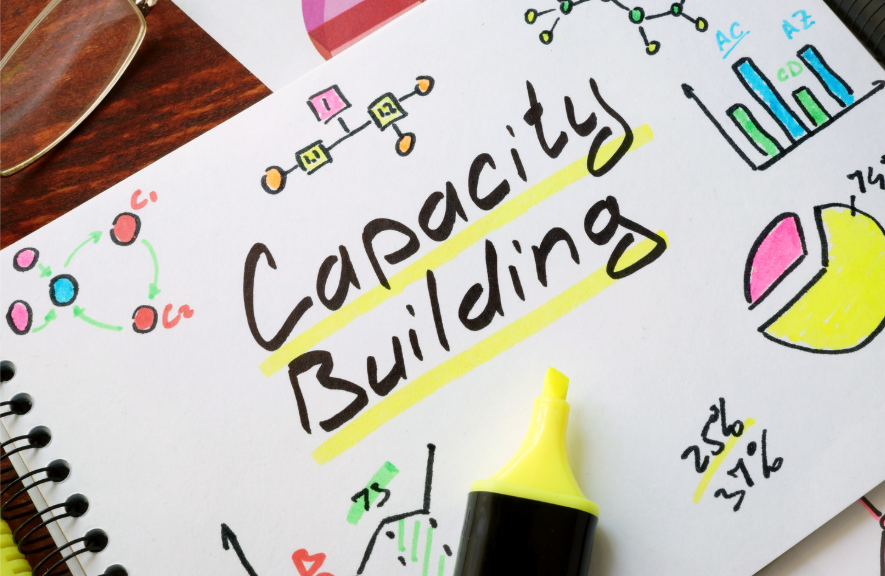 Mentoring e capacity building
