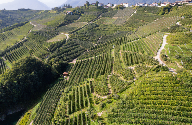 MOPAS – Microonde per l’agricoltura sostenibile