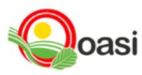 Oasi