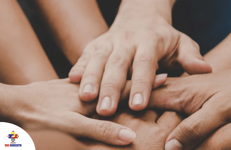 Organizzazione, performance e sostenibilità - Società della Salute Coeso