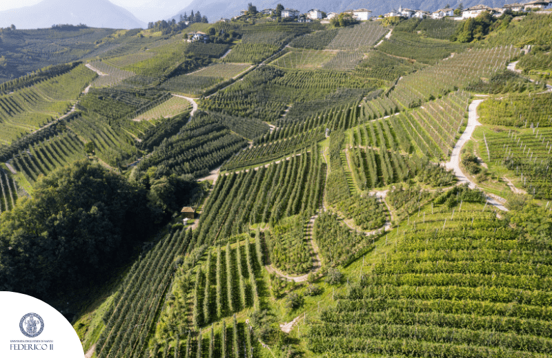MOPAS – Microonde per l’agricoltura sostenibile