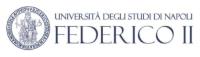 Università di Napoli