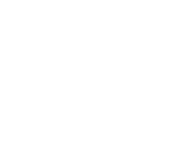 logo Theorema Srl